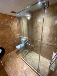 Orchard Scotts (D9), Condominium #496023921